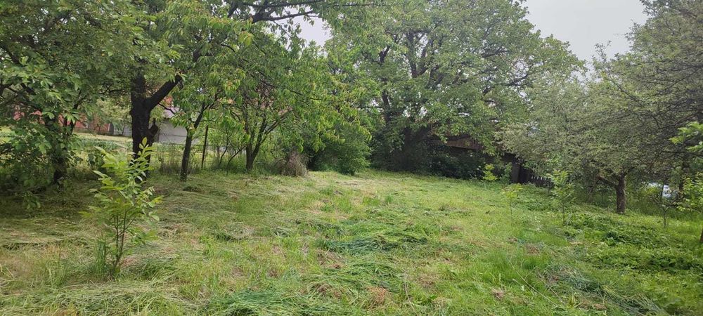 Casa cu curte si gradina, strada Principala, Vulcan, acces doua strazi