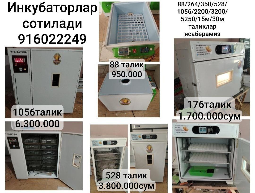 Инкубаторлар сотилади