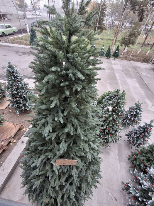 Янги йил  арчаси