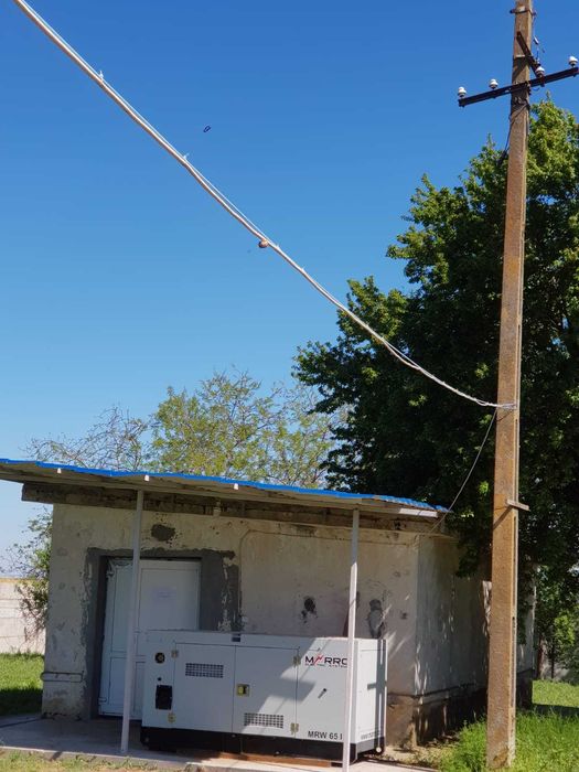 Ferma porci reproductie