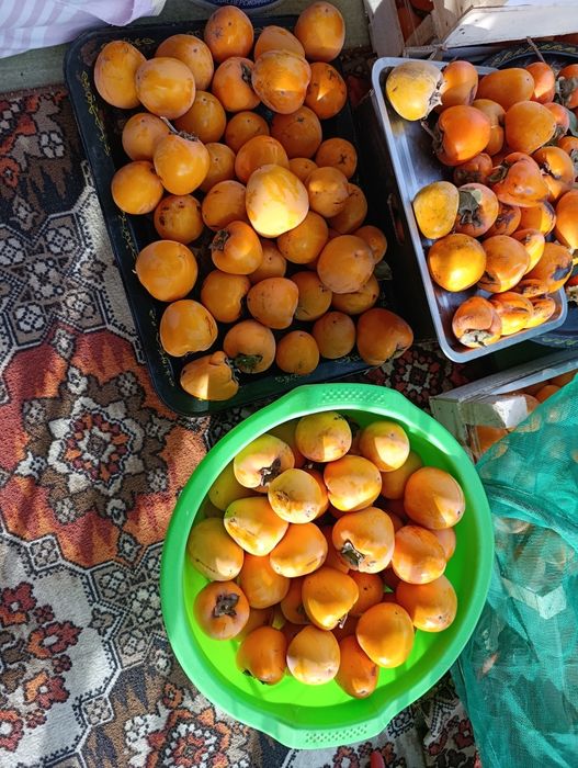 Uzo voxtgacha saqlasa boladgan xurmo ikki xil limon va shkoladniy