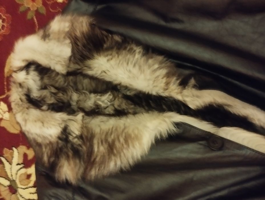 Мужские куртки бури терисидан.