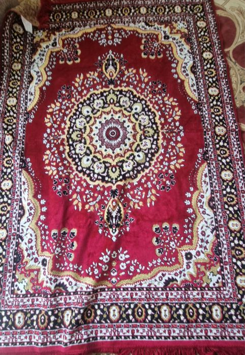 Туркия ипак палак