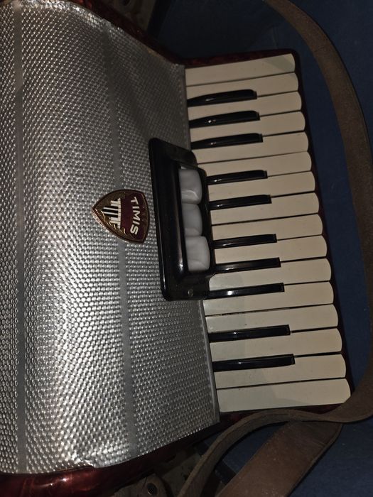 Vând acordeon Timis