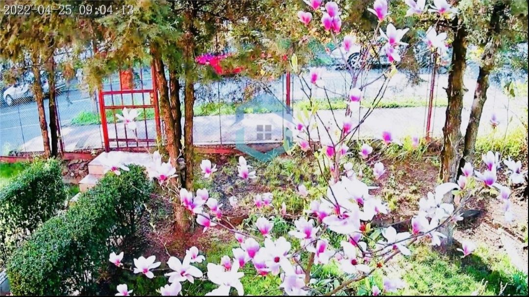 Casa individuala de vanzare Zorilor