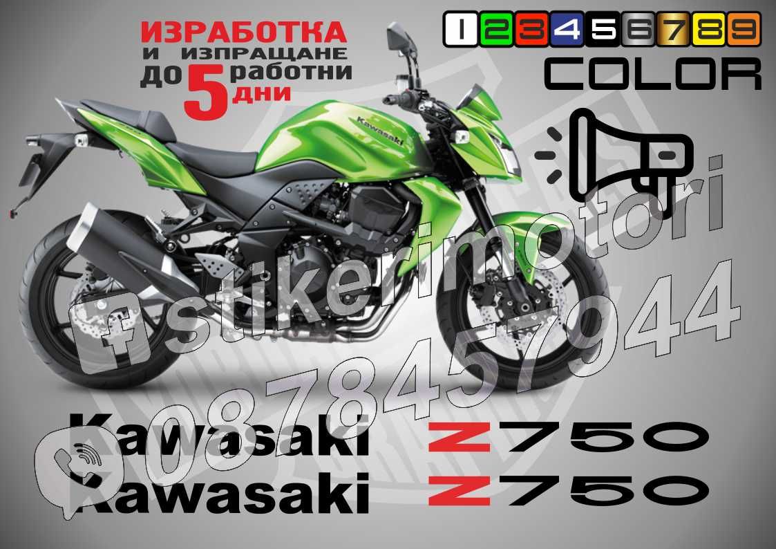 Kawasaki ZX-6R ZX-9R ZX-10R  Z600 Z750 Z800 Z900 Z100 ER-6F ER-6N ZZR