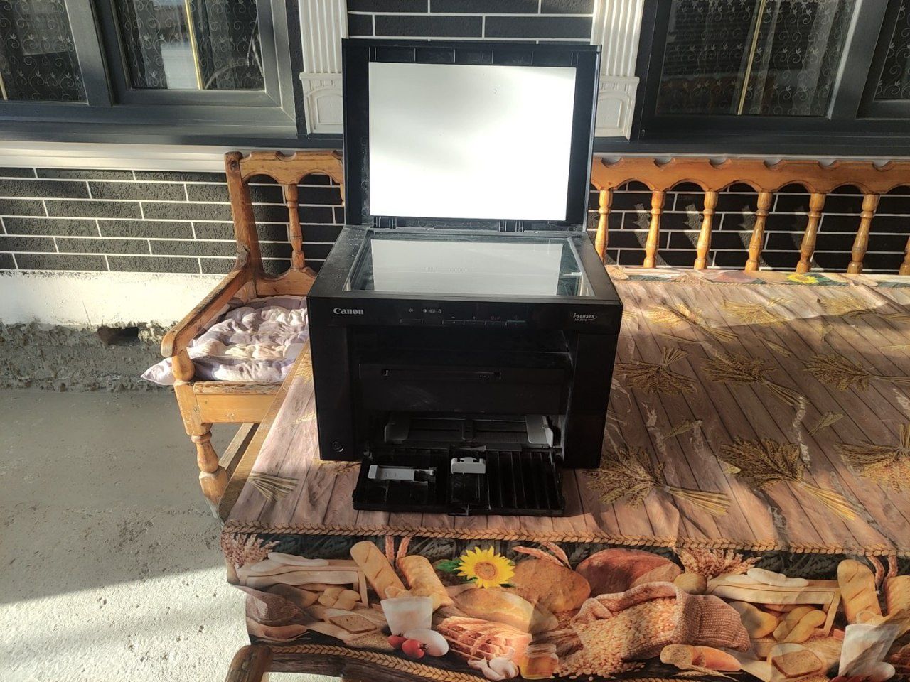 Printer  canon3010