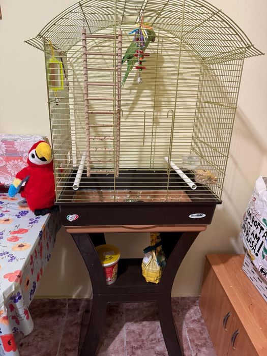 Micul Alexandru + Colivie