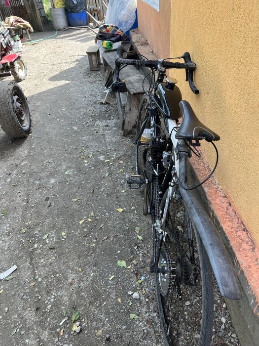 Cursiera cu motor de 80cc