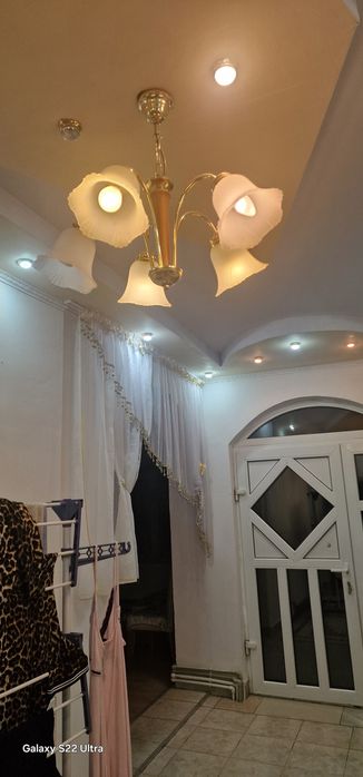 Luste din Germania foarte frumoși și calitatea care sinteti interesați