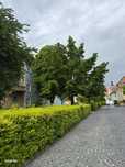 Apartament 2 camere, pretabil investitie, Piata Schiller, ultracentral