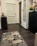 Apartament ultracentral, parter, renovat