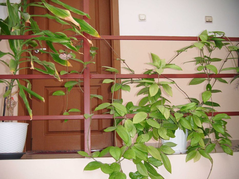 FUJIFILM FinePix Z37 10 MPx