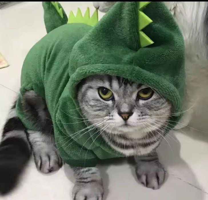 Haina caini / pisici Dinosaur