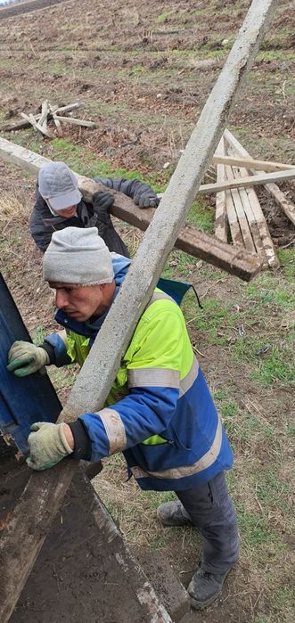 Vând spalieri de vie din beton