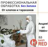 Дезинфекция дезинсекция дератизация клоп таракан мышь насеком