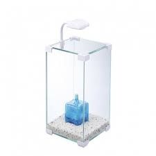 Acvariu leecom birou rar 200 lei, pentru cunoscători!