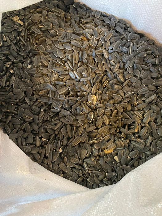 Семечки для посева