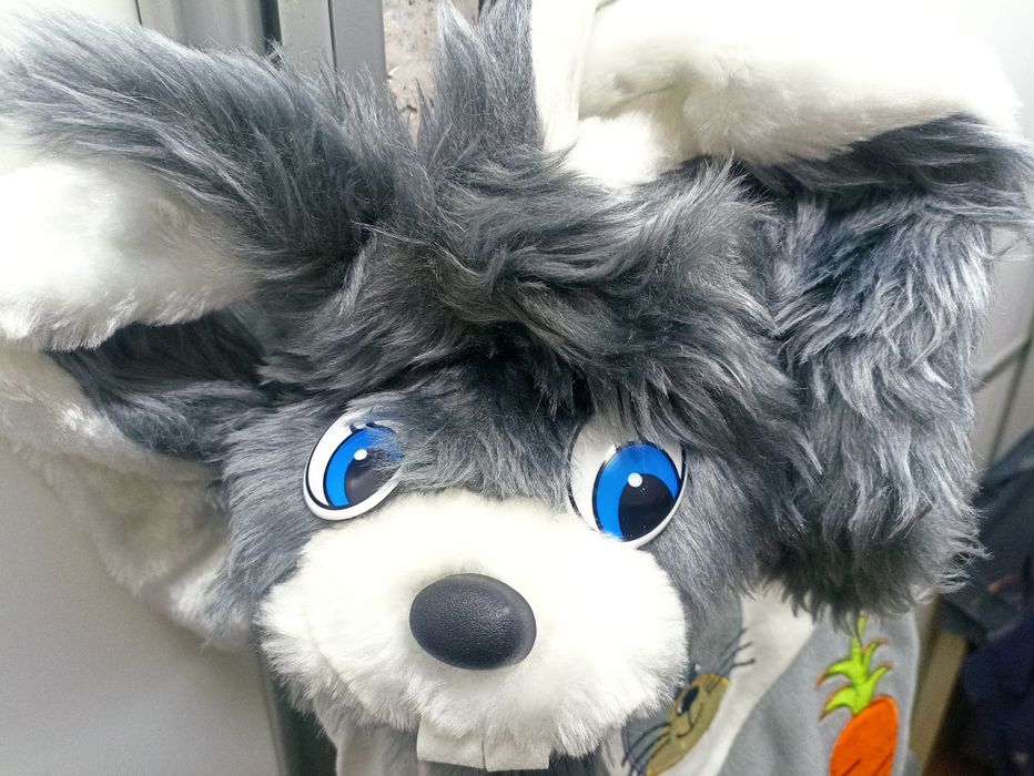 Костюм Зайца Длинноуха