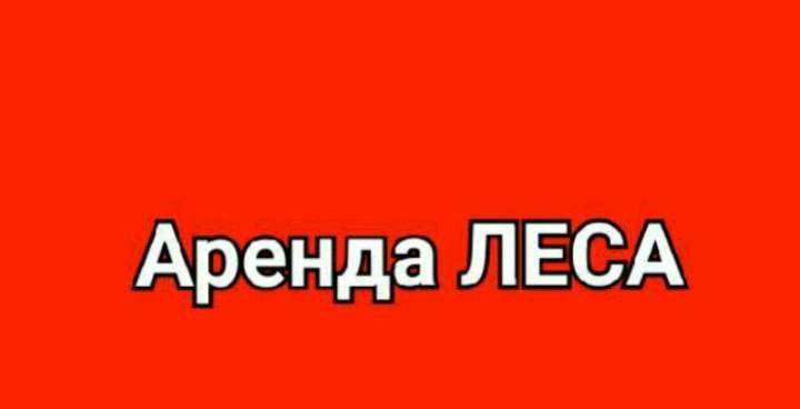 Аренда Леса строительные