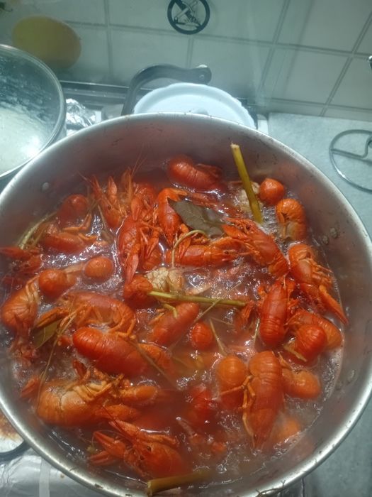 Раки(кискичбака]