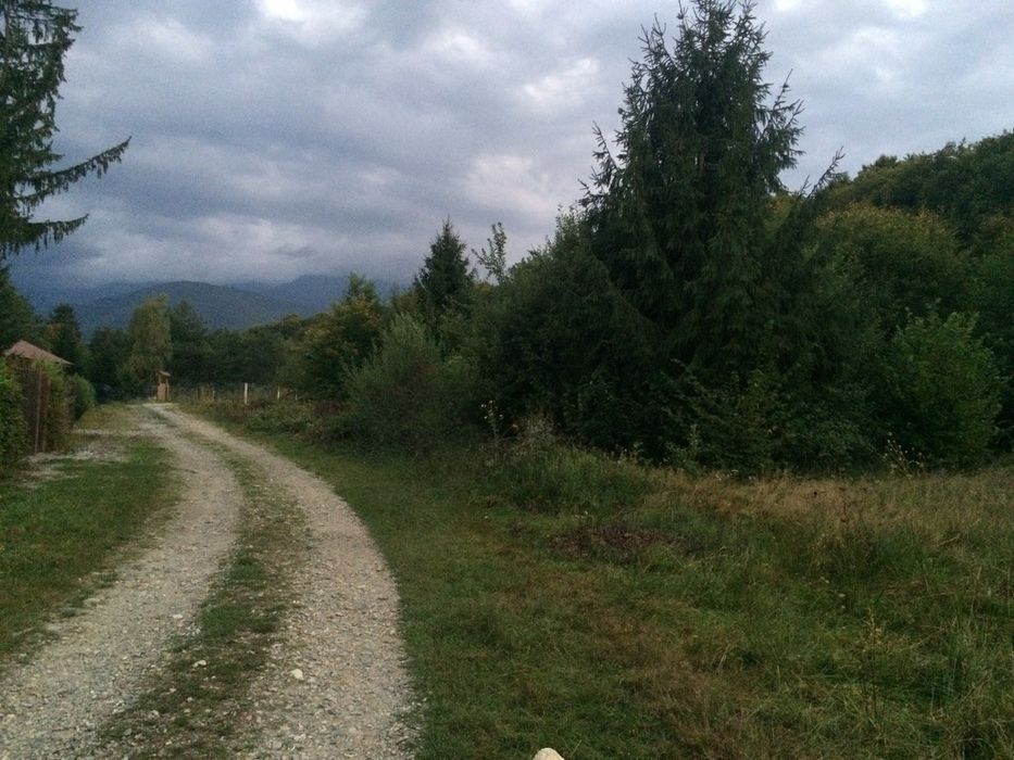 Teren Intravilan Valea Avrigului