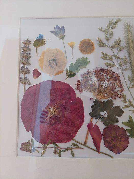 Tablou cu flori presate