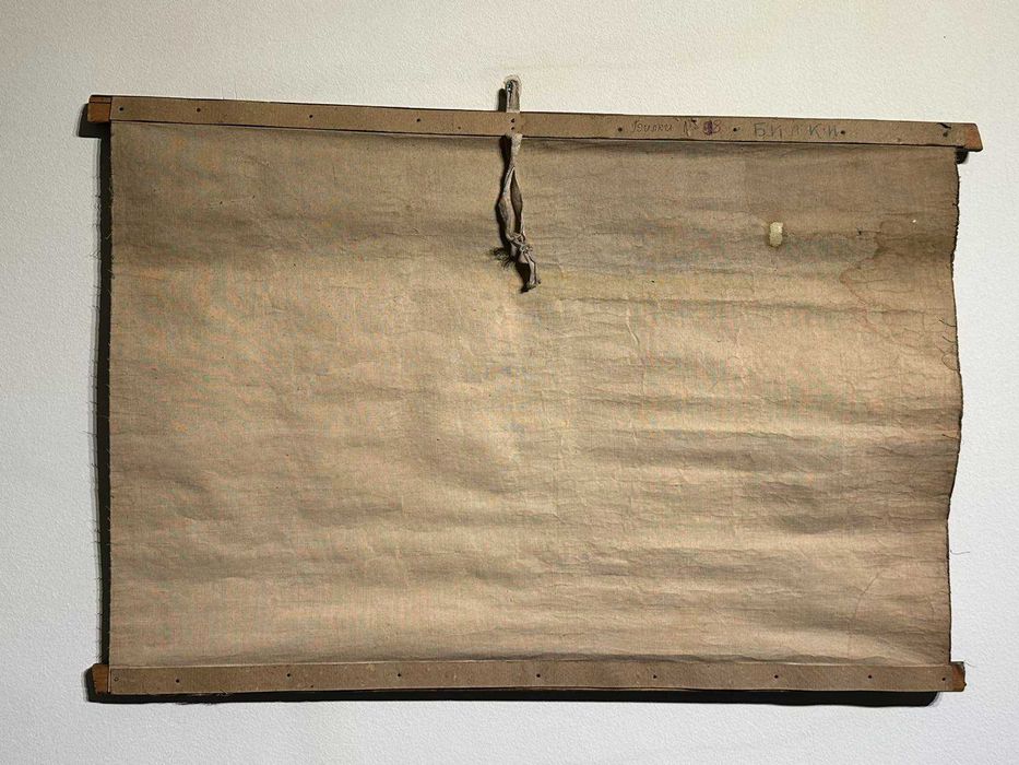 Соц Учебни Плакати Постери Ботаника