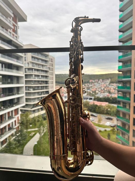 Saxofoane Alto Roy Benson, Startone, Parrot