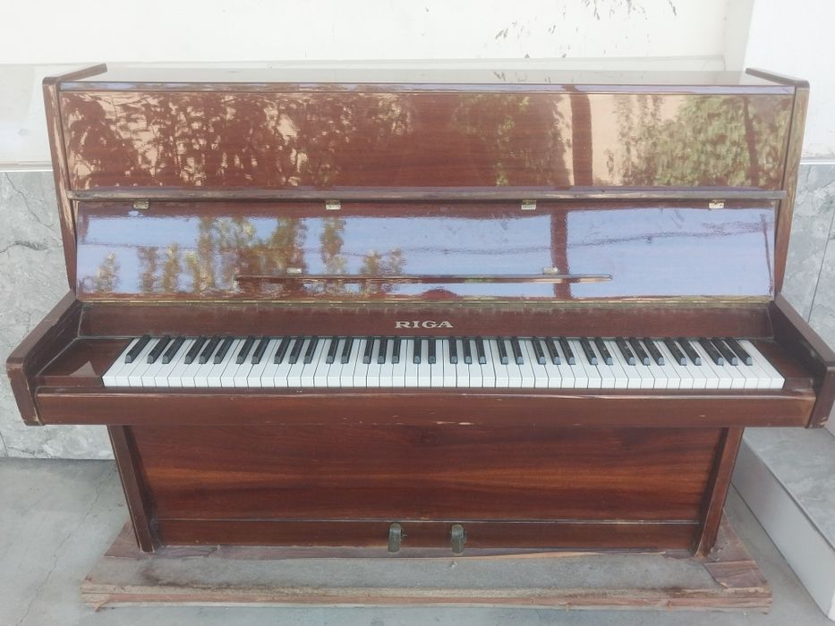 Pionina RIGA sotiladi