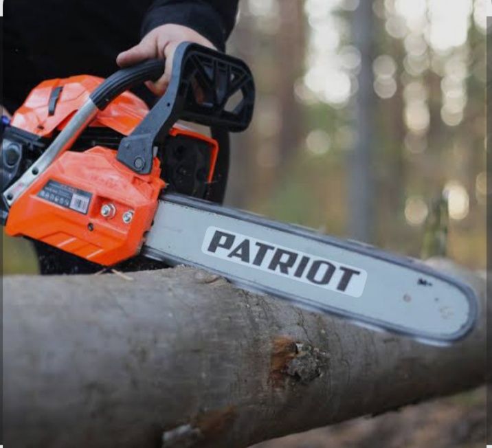 Агаш туралаймын Пилю дерево