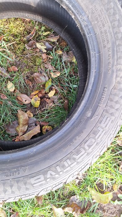 195 55 15 два броя