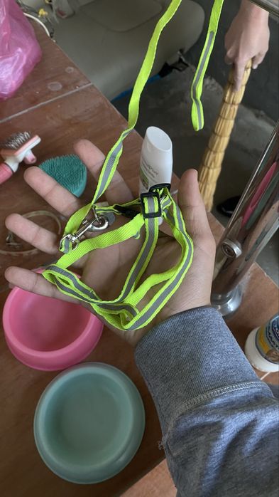 Mushular uchun mahsulotlar