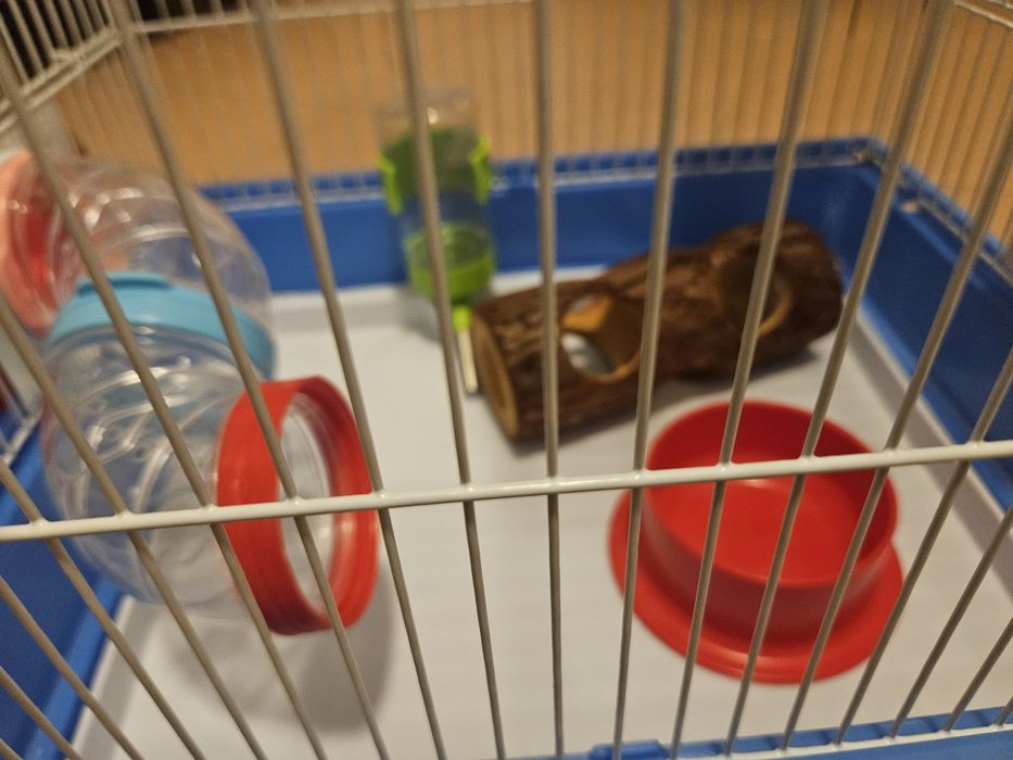 Cusca hamster cu accesorii