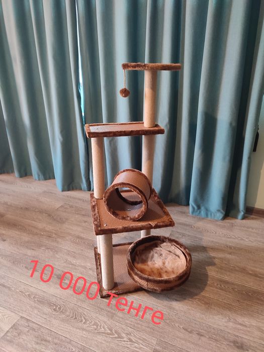 Домики для кошек. Новые