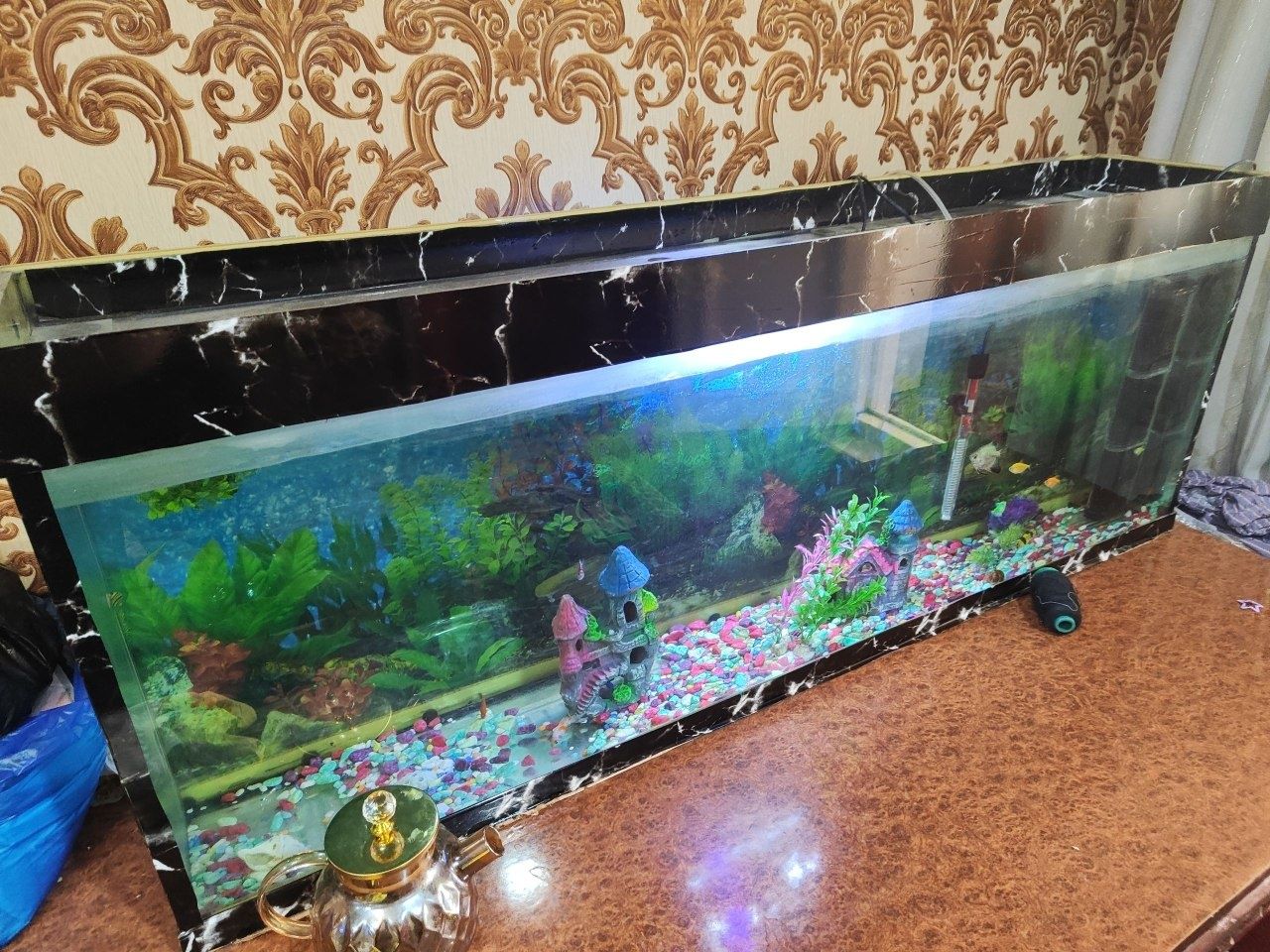 Akvarium sotiladi