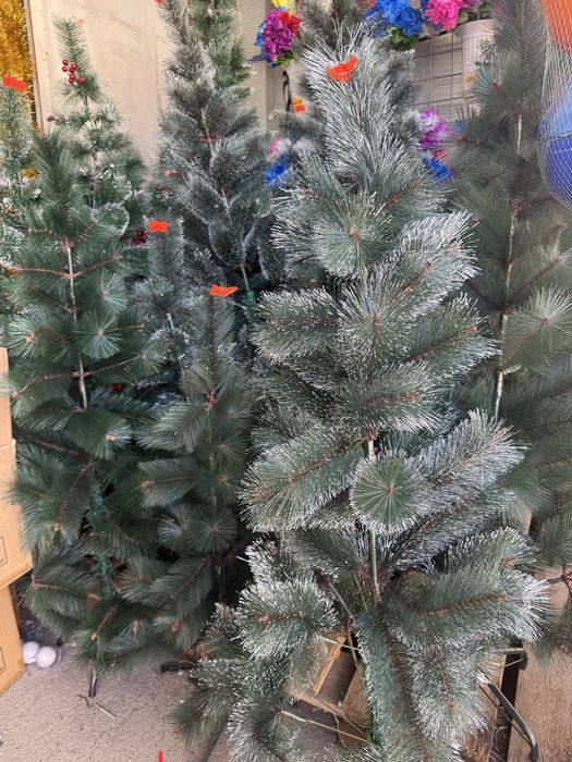 Коледни елхи различни размери и цени