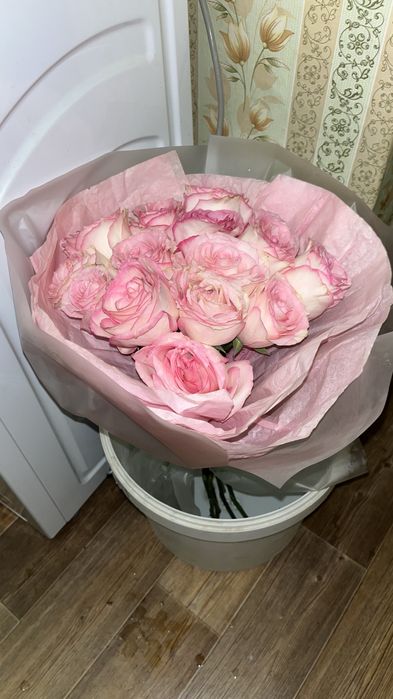 голландские розы