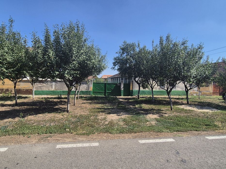 Casa cu teren 1420 mp Secusigiu