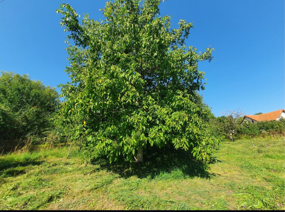 Vânzare teren intravilan – Breaza, 1000 mp, 2 căi de acces