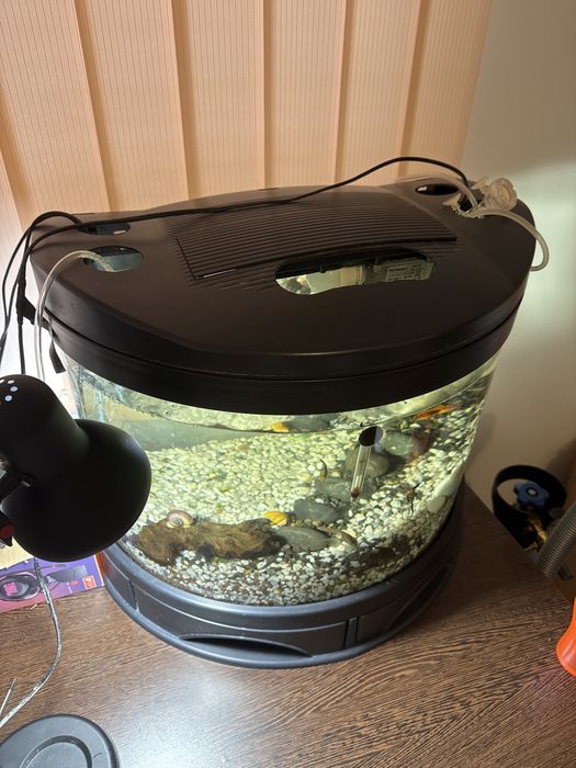 Acvariu 60L cu pesti