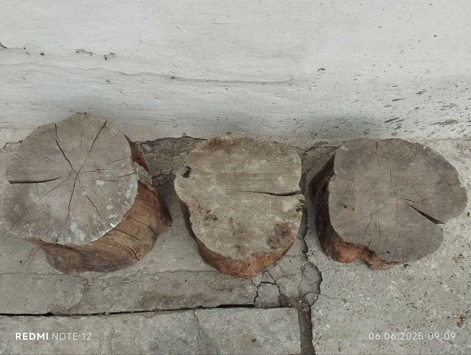 Ствол-тўнка для мясных работ