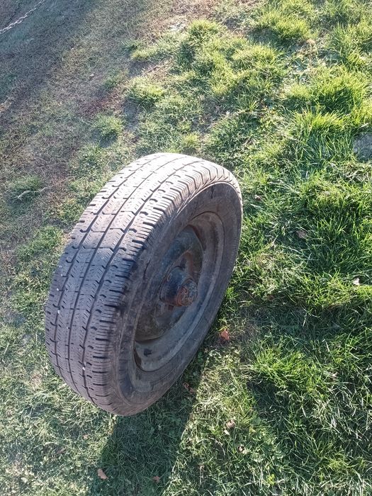 De vânzare 2 butuci!