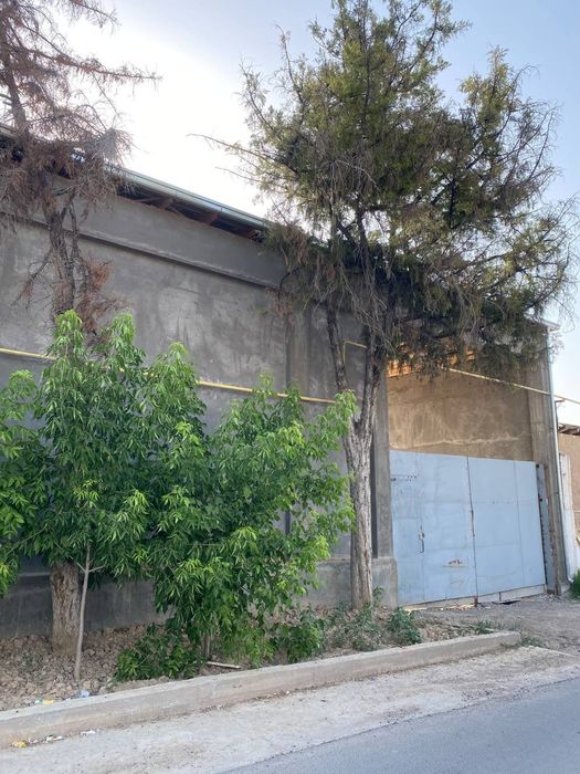 Хасанбой кенсой мфй 20 сотих