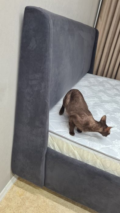 Кровать новая, 1800х2000.