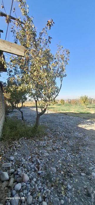 4.4 sotuklik yer sotiladi