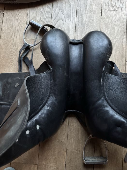 saua calarie/echitatie Albion model SL