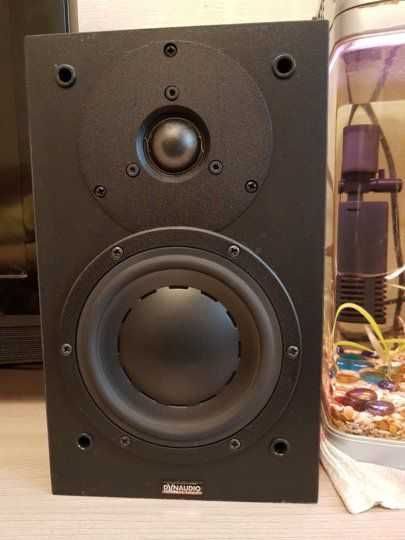 Колонка dynaudio audience