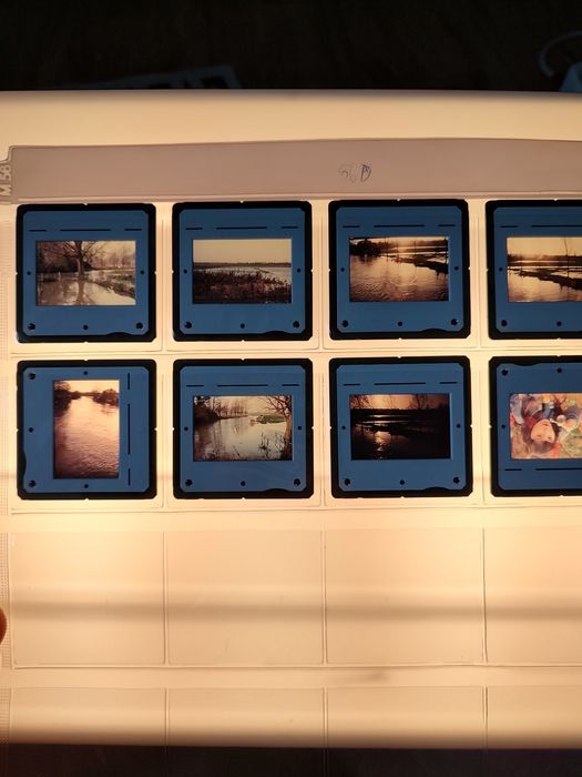 Lot 15 cutii dispozitive+ clasor diapozitive