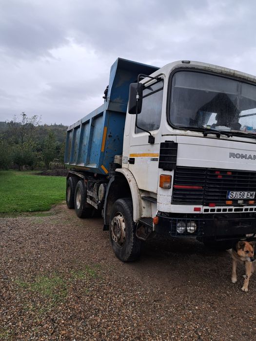 Autobasculanta Roman